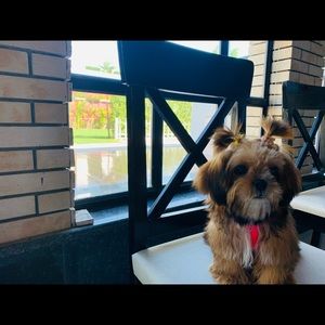 Meet your Posher, Lhamu